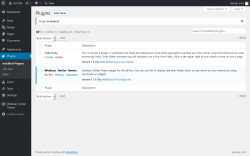 Page screenshot: Plugins &lsaquo; Test site &mdash; WordPress
