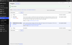 Page screenshot: Plugins &lsaquo; Test site &mdash; WordPress