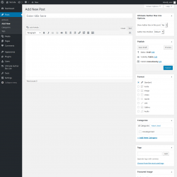 Page screenshot: Add New Post &lsaquo; Test site &mdash; WordPress