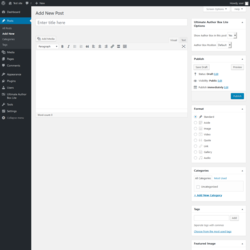 Page screenshot: Add New Post &lsaquo; Test site &mdash; WordPress