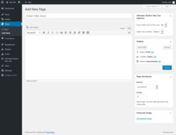 Page screenshot: Add New Page &lsaquo; Test site &mdash; WordPress