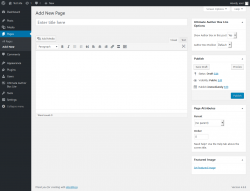 Page screenshot: Add New Page &lsaquo; Test site &mdash; WordPress