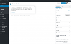 Page screenshot: Add New Post &lsaquo; Test site &mdash; WordPress