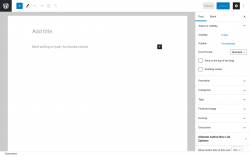 Page screenshot: Add New Post &lsaquo; Test site &mdash; WordPress
