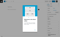 Page screenshot: Add New Post &lsaquo; Test site &mdash; WordPress