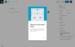 Page screenshot: Add New Page &lsaquo; Test site &mdash; WordPress