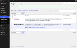 Page screenshot: Plugins &lsaquo; Test site &mdash; WordPress