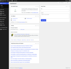 Page screenshot: Dashboard &lsaquo; Test site &mdash; WordPress
