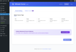 Page screenshot: Ultimate Cursor → Settings