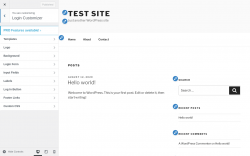 Page screenshot: Ultimate Dash&hellip; &rarr; Login Customizer