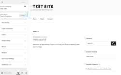 Page screenshot: Ultimate Dash&hellip; &rarr; Login Customizer