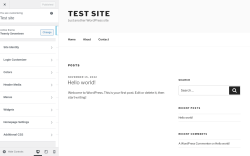 Page screenshot: Ultimate Dash&hellip; &rarr; Login Customizer