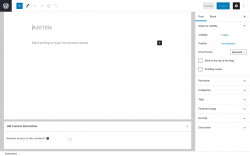 Page screenshot: Add New Post ‹ Test site — WordPress