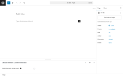 Page screenshot: Add New Page ‹ Test site — WordPress