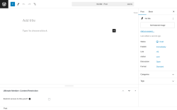 Page screenshot: Add New Post ‹ Test site — WordPress