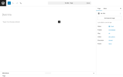 Page screenshot: Add Page &lsaquo; Test site &mdash; WordPress