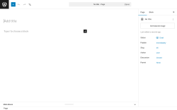 Page screenshot: Add Page &lsaquo; Test site &mdash; WordPress