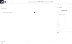 Page screenshot: Add Post &lsaquo; Test site &mdash; WordPress