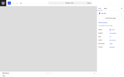 Page screenshot: Add Post &lsaquo; Test site &mdash; WordPress
