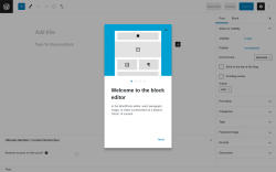 Page screenshot: Add New Post ‹ Test site — WordPress