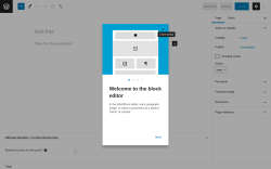 Page screenshot: Add New Page ‹ Test site — WordPress