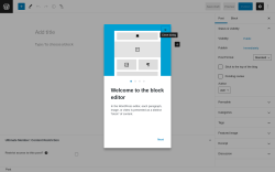 Page screenshot: Add New Post ‹ Test site — WordPress