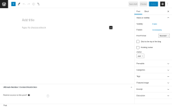Page screenshot: Add New Post ‹ Test site — WordPress