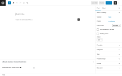 Page screenshot: Add New Post ‹ Test site — WordPress