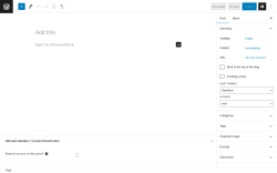 Page screenshot: Add New Post ‹ Test site — WordPress