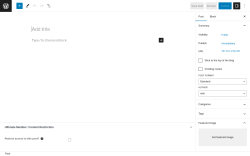 Page screenshot: Add New Post ‹ Test site — WordPress