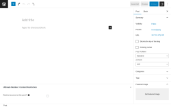 Page screenshot: Add New Post ‹ Test site — WordPress
