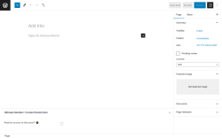Page screenshot: Add New Page ‹ Test site — WordPress
