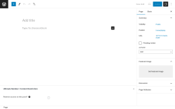 Page screenshot: Add New Page ‹ Test site — WordPress