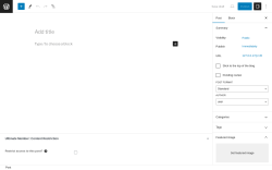 Page screenshot: Add New Post ‹ Test site — WordPress