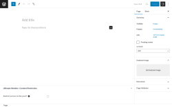 Page screenshot: Add New Page ‹ Test site — WordPress