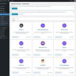 Page screenshot: Ultimate Member → Extensions