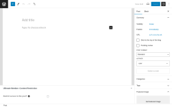 Page screenshot: Add New Post ‹ Test site — WordPress