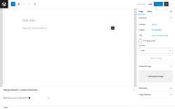 Page screenshot: Add New Page ‹ Test site — WordPress