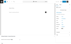 Page screenshot: Add New Post ‹ Test site — WordPress