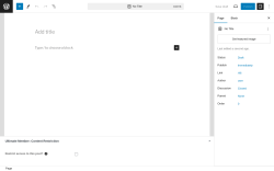 Page screenshot: Add New Page ‹ Test site — WordPress
