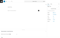 Page screenshot: Add New Page ‹ Test site — WordPress