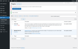 Page screenshot: Plugins &lsaquo; Test site &mdash; WordPress