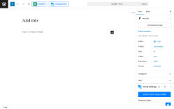 Page screenshot: Add Post ‹ Test site — WordPress