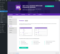 Page screenshot: Reviews → Settings → Premium