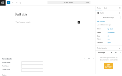 Page screenshot: Reviews → Add New Review