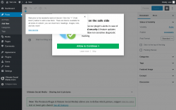 Page screenshot: Add New Post &lsaquo; Test site &mdash; WordPress