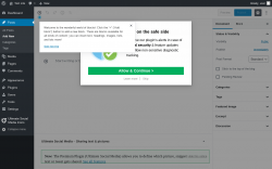 Page screenshot: Add New Post &lsaquo; Test site &mdash; WordPress