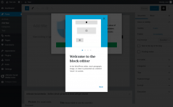 Page screenshot: Add New Post &lsaquo; Test site &mdash; WordPress