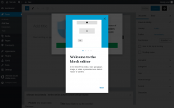 Page screenshot: Add New Post &lsaquo; Test site &mdash; WordPress