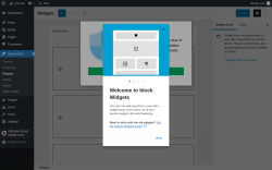 Page screenshot: Widgets &lsaquo; Test site &mdash; WordPress